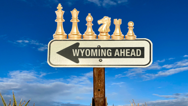 Chess pieces on a Wyoming Road sign