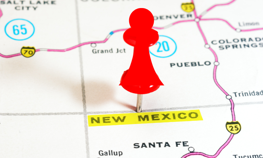 Red chess piece in a New Mexico map